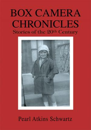 Cover of the book Box Camera Chronicles by Charles Bingman