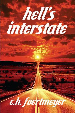 Cover of the book Hell's Interstate by Shirley Ann Ranck