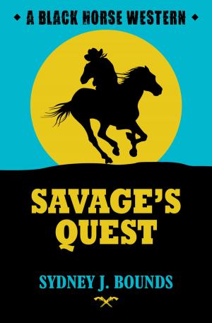 bigCover of the book Savage's Quest by 
