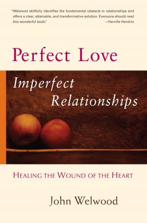 Cover of the book Perfect Love, Imperfect Relationships by Eline Snel