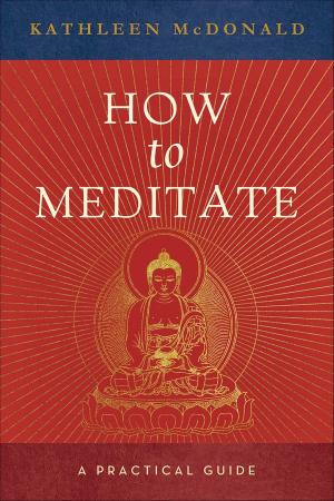 Cover of the book How to Meditate by His Holiness the Dalai Lama, Thubten Chodron