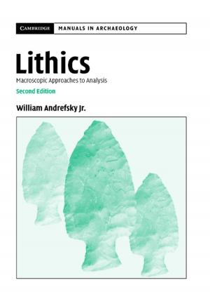 Cover of the book Lithics by Steven J. Dick
