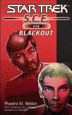 Cover of the book Star Trek: Blackout by Lisa Hinsley