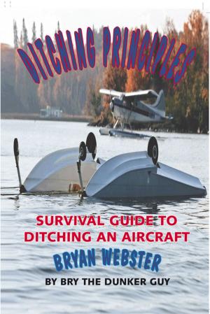bigCover of the book Ditching Principles by 