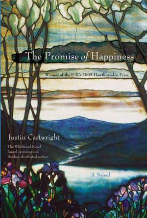 Cover of the book The Promise of Happiness by Gail Oust