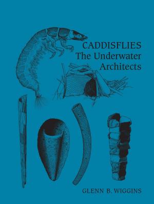 Cover of the book Caddisflies by Celia  Applegate