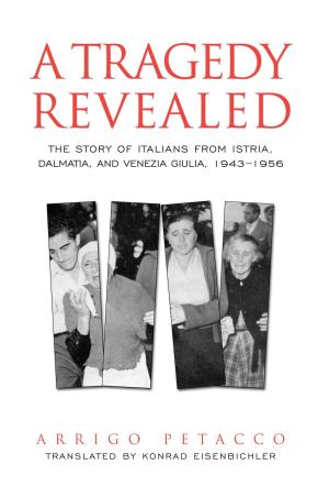 Cover of the book A Tragedy Revealed by Phillip Hansen