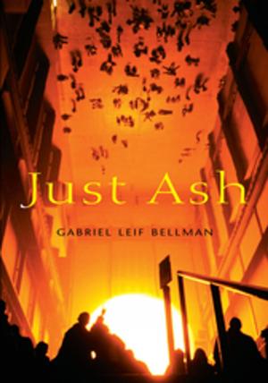Cover of the book Just Ash by Cliff McNish