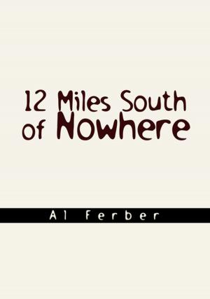 Cover of the book 12 Miles South of Nowhere by Margaret E. Conner
