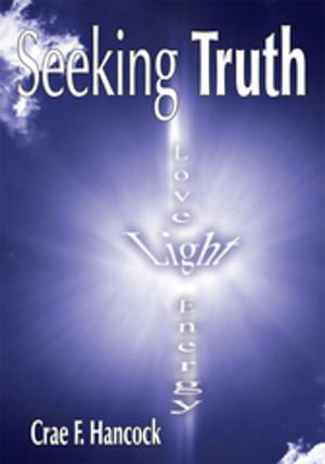 Cover of the book Seeking Truth by Funmi Oyetunji