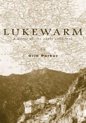 Cover of the book Lukewarm by Yoseph T. Banks