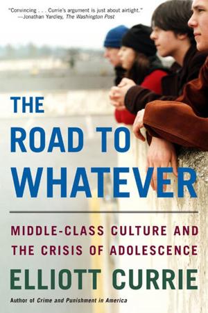 Cover of the book The Road to Whatever by Michael Klare