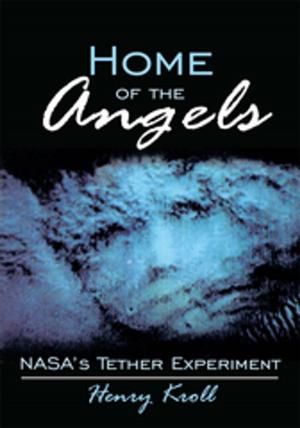 Book cover of Home of the Angels