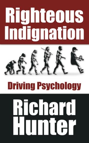 Cover of the book Righteous Indignation by Bruce Galvin Craig