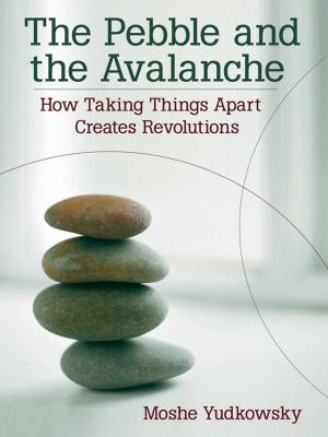 bigCover of the book The Pebble and the Avalanche by 