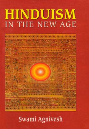 Cover of the book Hinduism in the New Age by Yoginder Sikand
