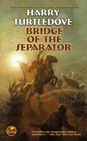 Book cover of Bridge of the Separator