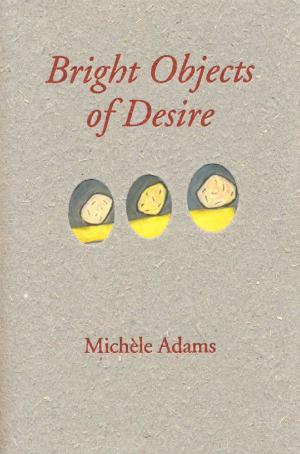 Cover of the book Bright Object of Desire by Lucie Wilk