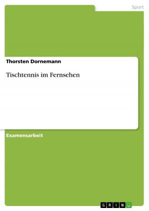 Cover of the book Tischtennis im Fernsehen by Stefan Siebigke