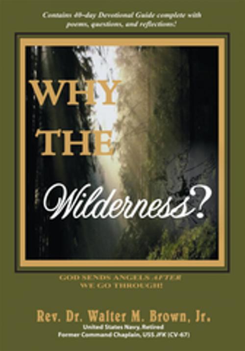Cover of the book Why the Wilderness? by Rev. Dr. Walter M. Brown Jr., iUniverse