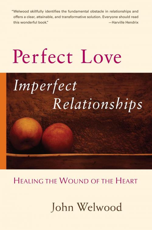 Cover of the book Perfect Love, Imperfect Relationships by John Welwood, Shambhala