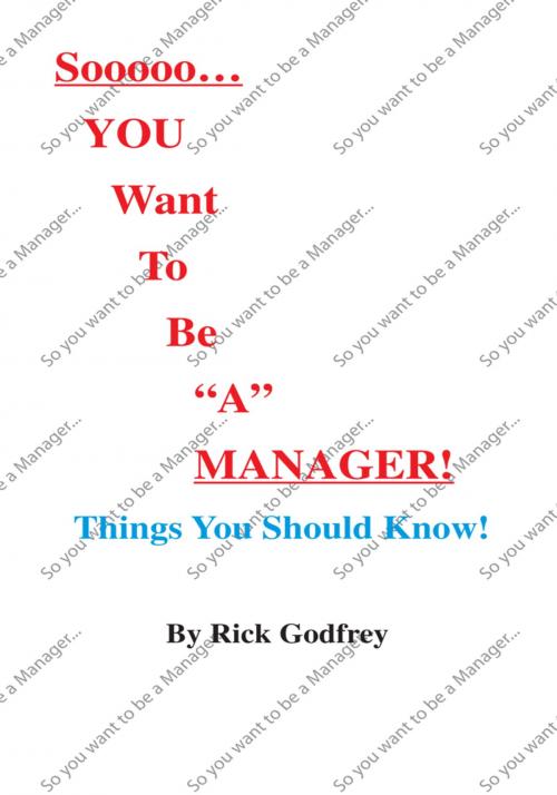 Cover of the book Sooooo... You Want to Be "A" Manager! Things You Should Know! by Rick Godfrey, Trafford Publishing