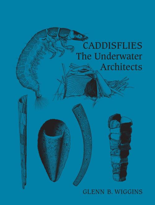 Cover of the book Caddisflies by Glenn Wiggins, University of Toronto Press, Scholarly Publishing Division