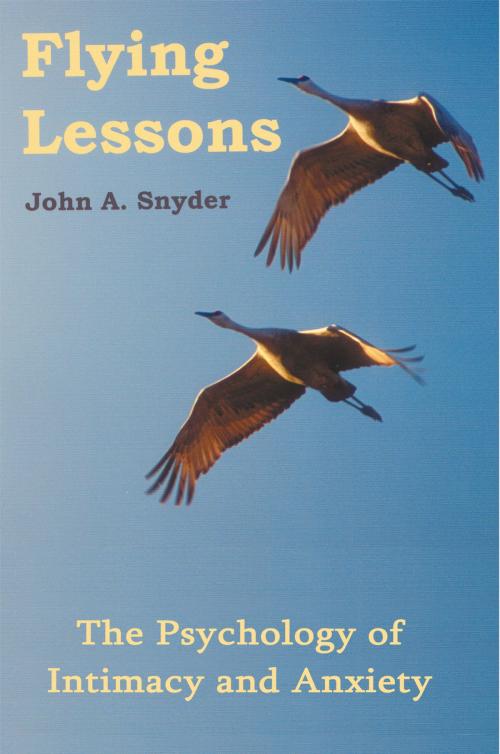 Cover of the book Flying Lessons by John A. Snyder, AuthorHouse