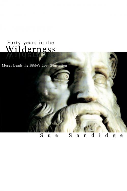 Cover of the book Forty Years in the Wilderness: Moses Leads the Bible's Lost Generation by Sue Sandidge, Xlibris US