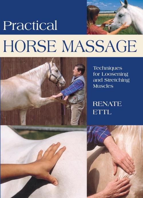 Cover of the book Practical Horse Massage by Renate Ettl, Lyons Press