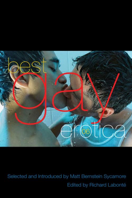 Cover of the book Best Gay Erotica 2006 by , Cleis Press