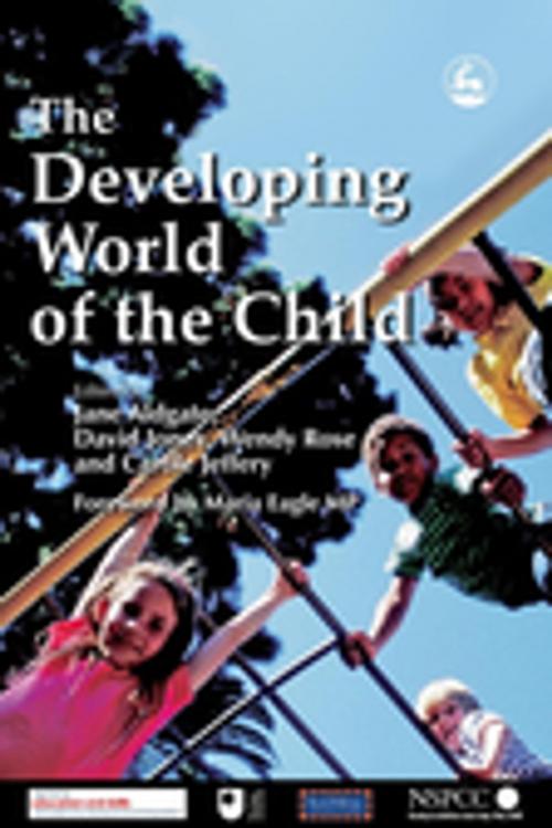 Cover of the book The Developing World of the Child by Anna Gupta, Gillian Schofield, David Quinton, Hedy Cleaver, Brigid Daniel, Janet Seden, Jessica Kingsley Publishers