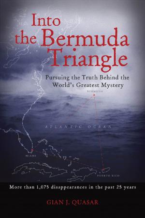 Cover of the book Into the Bermuda Triangle by Avi Gordon, Windy Dryden