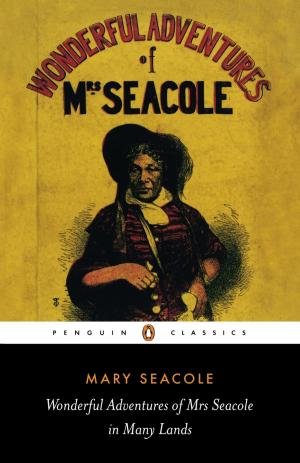 bigCover of the book Wonderful Adventures of Mrs Seacole in Many Lands by 