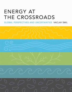 bigCover of the book Energy at the Crossroads by 