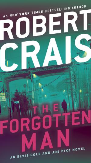 Cover of the book The Forgotten Man by Sara Paretsky