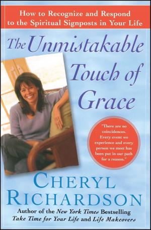 Cover of the book The Unmistakable Touch of Grace by M. Scott Peck