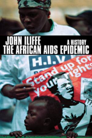 Cover of the book The African AIDS Epidemic by Allison Eir Jenks