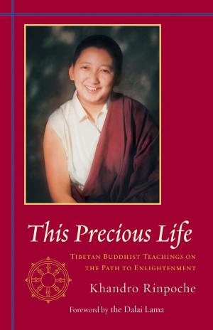 Cover of the book This Precious Life by Donald Moyer