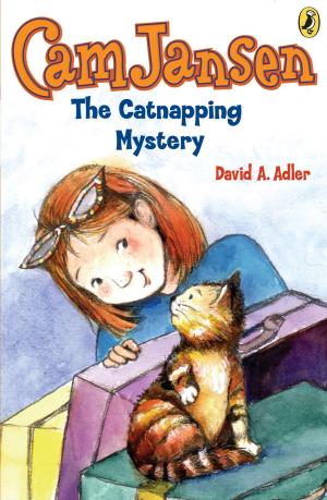 Book cover of Cam Jansen: The Catnapping Mystery #18