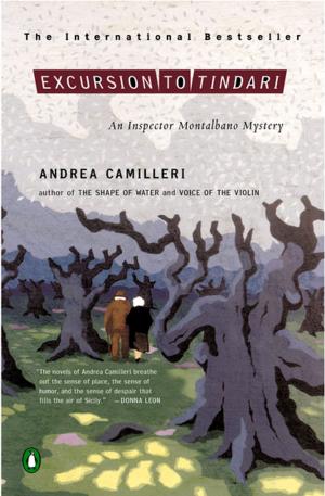 Cover of the book Excursion to Tindari by Amber Madison