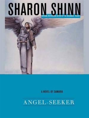 Book cover of Angel-Seeker