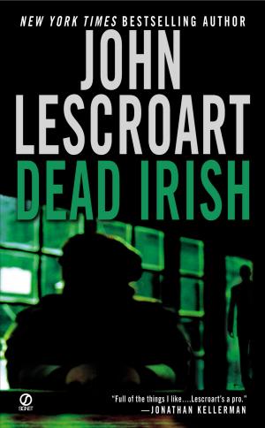 Cover of the book Dead Irish by Michael Reyneke