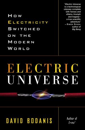 Book cover of Electric Universe