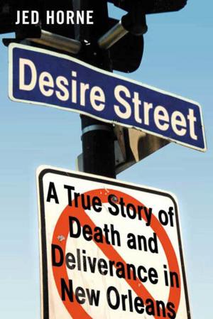 Book cover of Desire Street
