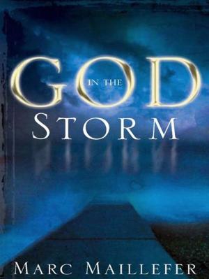 Cover of the book God in the Storm by Nathan A. Finn, Paul R. House, George H. Guthrie, Anthony L. Chute, Gregg R. Allison, Gregory C. Cochran, Justin L. McLendon, Benjamin M. Skaug, Charles L. Quarles