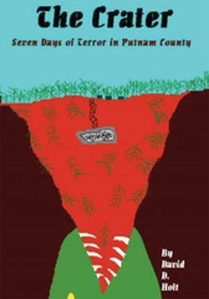 Cover of the book The Crater by Keith Welch
