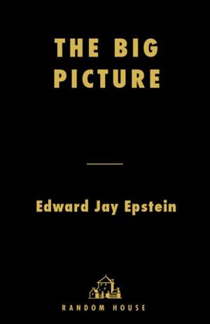 Cover of the book The Big Picture by Elizabeth Moon