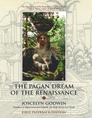 Cover of the book The Pagan Dream of the Renaissance by Kimberly A. Tessmer