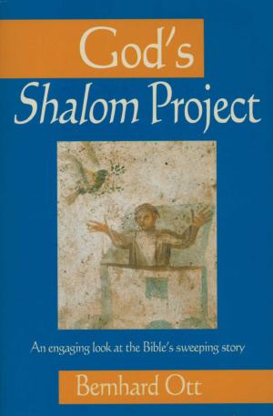 Cover of the book God's Shalom Project by Jim Keller
